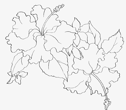 简笔画花朵素材_简笔画花朵图片元素-觅元素