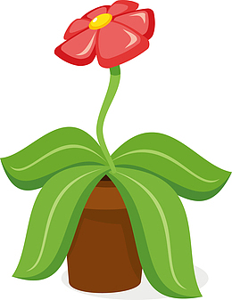 花盆里的一朵红花