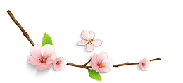 一枝桃花