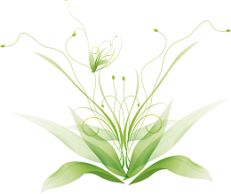 清新时尚绿色植物矢量图