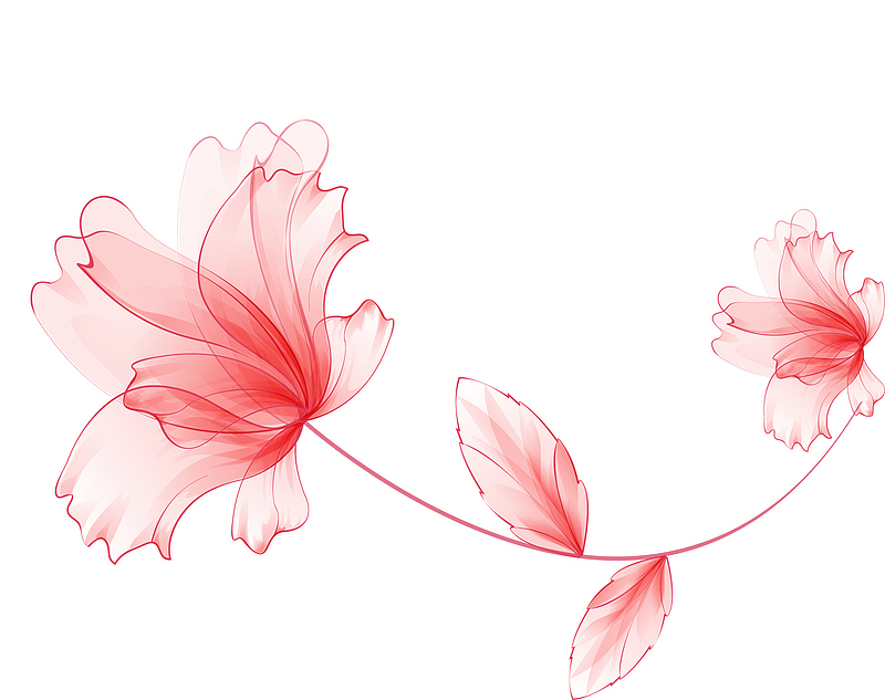 手绘粉色渐变花朵图案