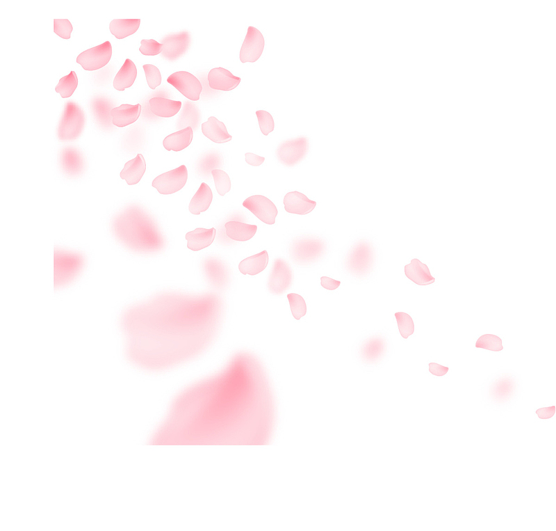 粉色浪漫飞舞花瓣