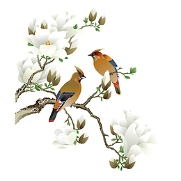 站在花枝上的小鸟