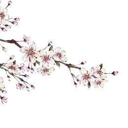 白色中国风花枝装饰图案