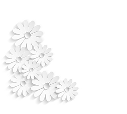 白色剪纸小雏菊