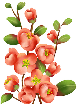 春天装饰小清新花枝素材