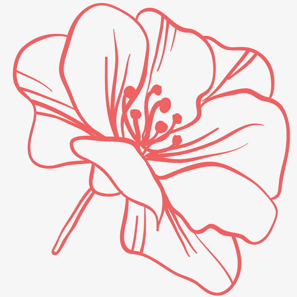 手绘桃花花朵图形