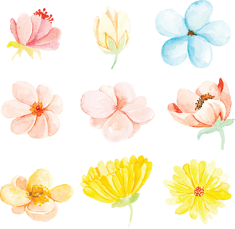 五彩水彩手绘花朵