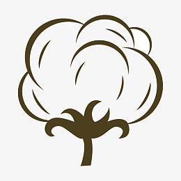 棉花花朵简笔画