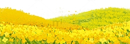 手绘插画山野油菜花