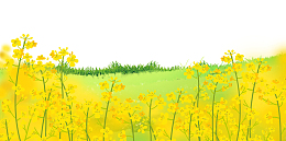 黄色春天油菜花背景图