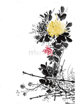 精美菊花水墨中国画免抠素材