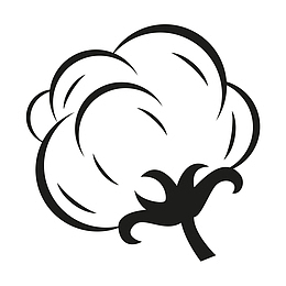 棉花花朵简笔画