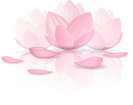 矢量手绘粉色花瓣