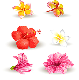 矢量手绘花朵