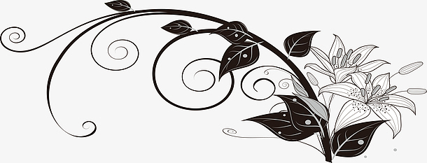 png百合花(800x800)aipng百合花叶矢量百合花(4789x5059)png高清矢量