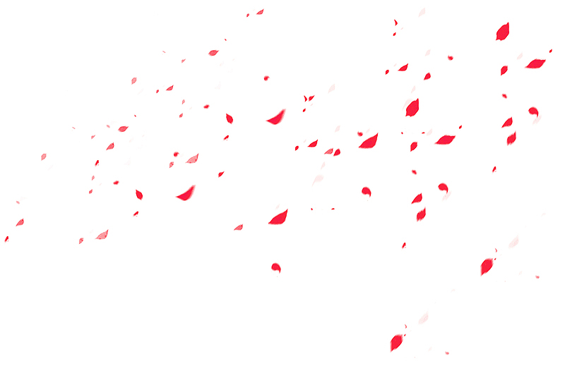红色飘散的花瓣免抠素材