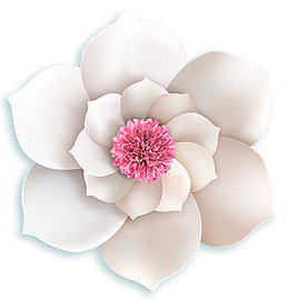 装饰微立体白色花朵素材