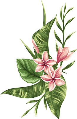 手绘粉色花朵