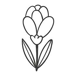 花朵简易画