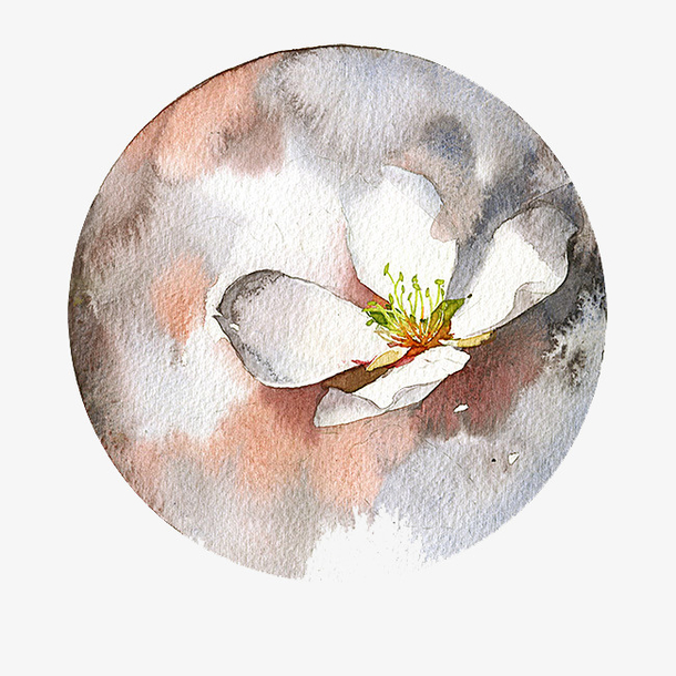 简约圆形水彩花朵