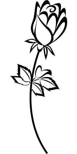 简笔花朵