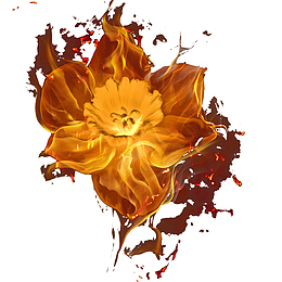 花朵燃烧