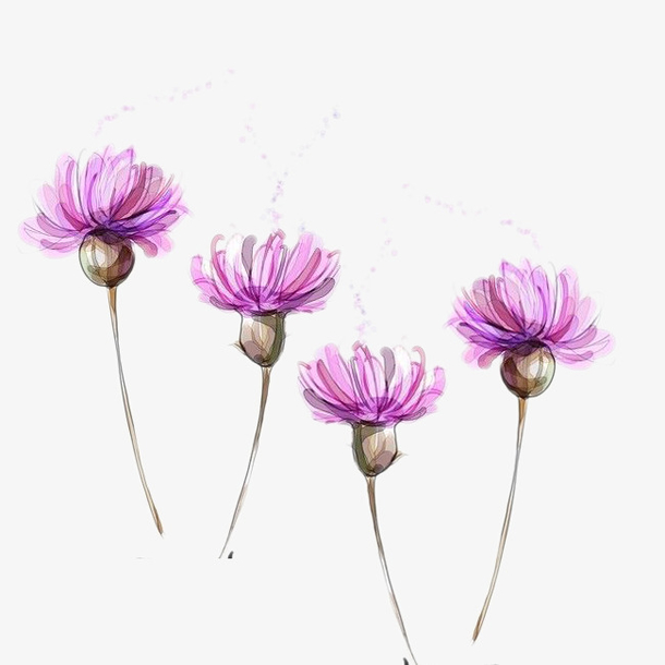 四朵花儿图片素材