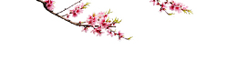 一只桃花