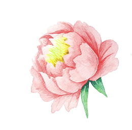 粉色水彩花朵装饰图案