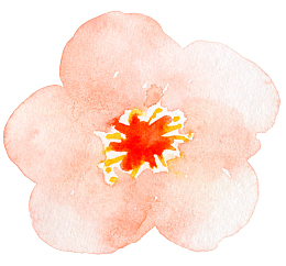 淡雅水墨花蕊图案