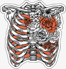 手绘卡通人体骨架装饰画