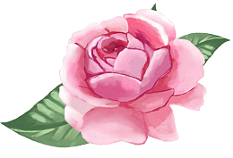 手绘装饰茶花素材