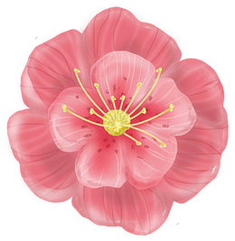 手绘小红花