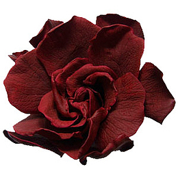 鲜花psd素材鲜花图案