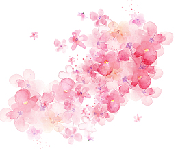 手绘水墨粉色花朵