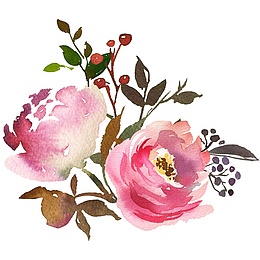 手绘水彩粉色花朵