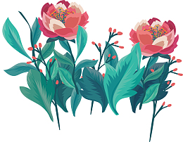 美丽的花丛