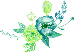 两朵花简图