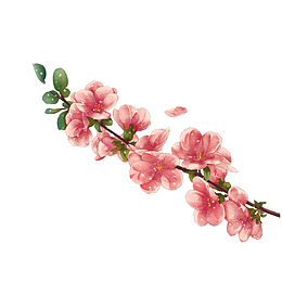 一束桃花