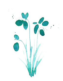 水墨花朵素材