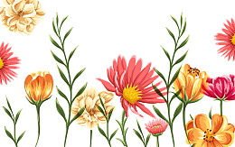 百花齐放