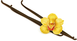 花朵簪子矢量