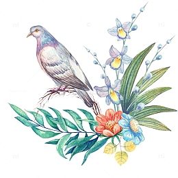 手绘水彩花鸟花草