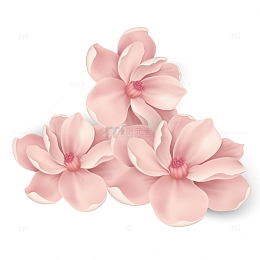 母亲节粉色花朵装饰插画