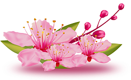 彩绘装饰春天桃花花朵素材