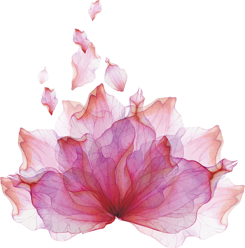 梦幻粉色的散开的花瓣矢量图