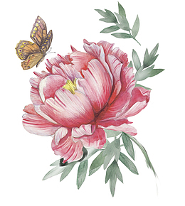 手绘彩铅粉色花朵花瓣