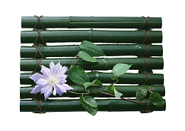 花朵竹排