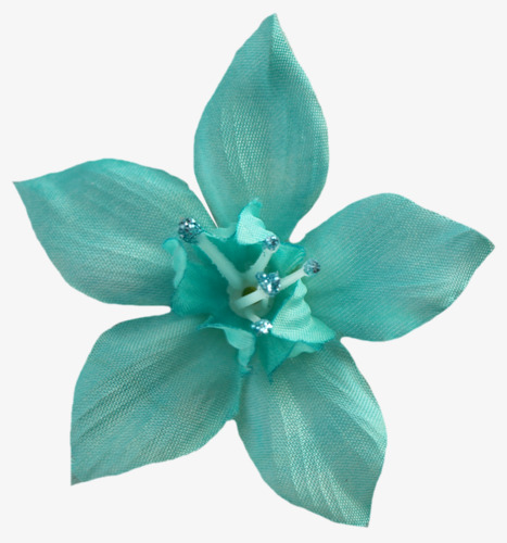 青五瓣花免抠素材免费下载 觅元素51yuansu Com